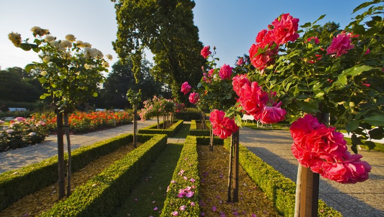 Badener Rosarium, © Badener Rosarium/Lois Lammerhuber