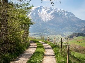 Grünbacher Sattel, © Wiener Alpen in Niederösterreich