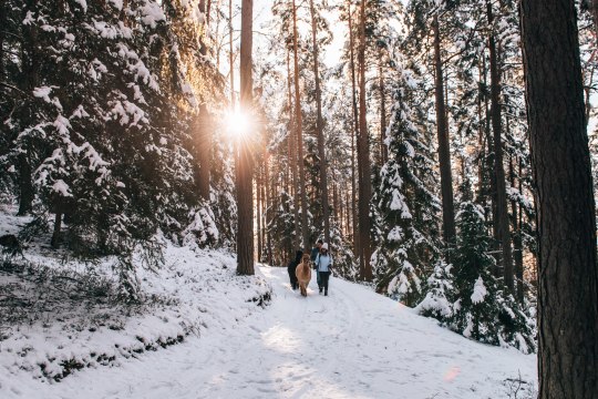 Leinen los! Beim Wandern im Winter mit flauschigen Partnern. , © Waldviertel Tourismus/sommertage.com