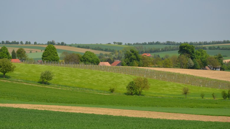 Hochleithen, © Christine Friedl