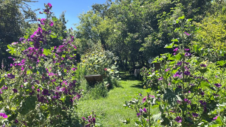 Dornröschen Garten, © "Natur im Garten"