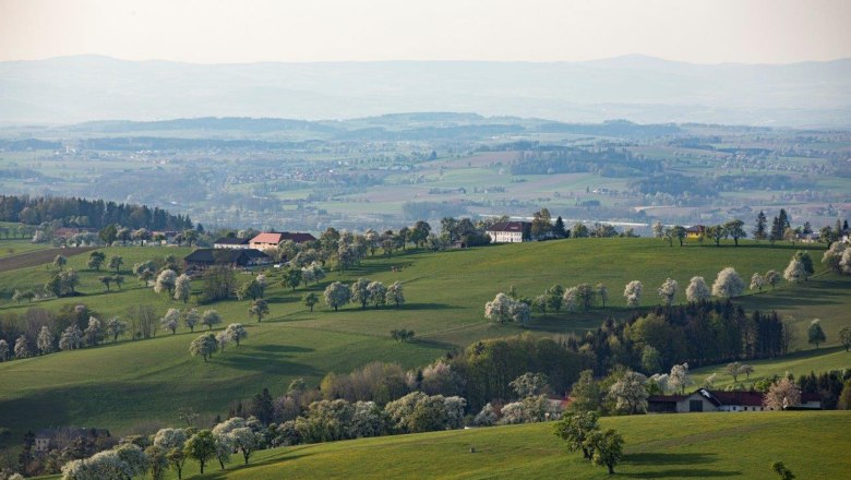 Fotopunkt Sanfte Hügel, © schwarz-koenig.at