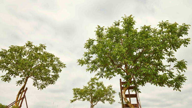 Gemeinde Krummnußbaum, © Klaus Engelmayer