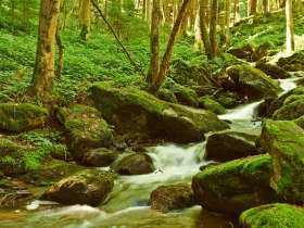 Die romantische Steinbachklamm bei Marbach im Nibelungengau, © Donau NÖ Tourismus/Klaus Engelmayer