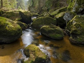 Rappottenstein Schütt, © Matthias Schickhofer