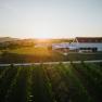 Weingut, Heuriger und Refugium., © Weingut & Weinblick Grafinger