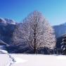 Schaureith im Winter, © Familie Enöckl