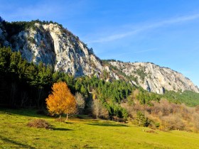 Blick auf die Hohe Wand, © ©POV, Foto Robert Herbst