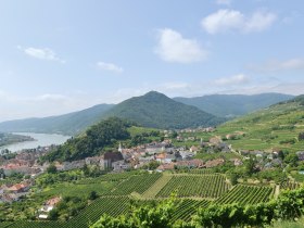 Spitz in der Wachau, © Donau Niederösterreich/Steve Haider