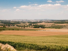 Aussicht ins westliche Weinviertel, © Markus Heidegger