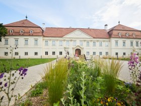 Schloss Marchegg, © Rupert Pessl