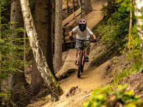 Downhill Line, © Wexl Trails