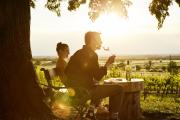 Mann trinkt von einem Weinglas und sitzt auf einer Holzbank mit einer Frau im Weingarten.