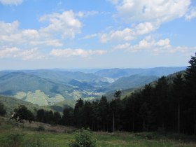 Aussicht zur Donau Richtung Spitzer Graben, © Naturpark Jauerling-Wachau