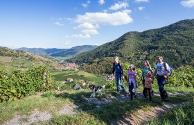 Unterwegs am Spitzer Graben, © Donau Niederösterreich/Lachlan Blair