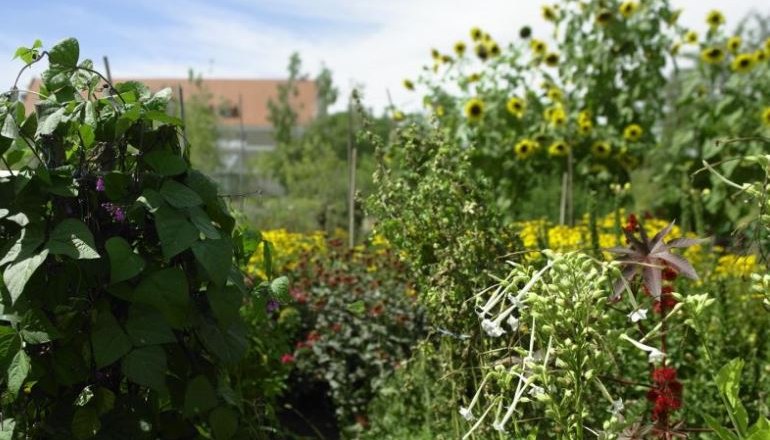 Ökokreis, © Natur im Garten/Alexander Haiden