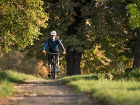 MTB Wienerwald, © Wienerwald Tourismus GmbH/ Markus Frühmann