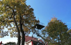 Klesheimwarte bei der Rudolf Proksch Hütte, © Wienerwald Tourismus