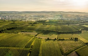 Grossweikersdorf, © Donau Niederösterreich - Kamptal-Wagram-Tullner Donauraum