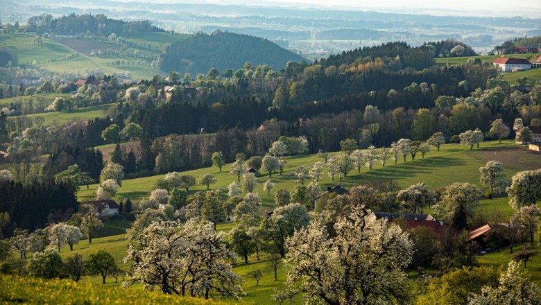 Fotopunkt Sanfte Hügel, © schwarz-koenig.at