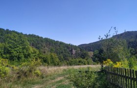 Waldlandschaft mit Wiese und Holzzaun unter klarem Himmel., © Donau NÖ Tourismus