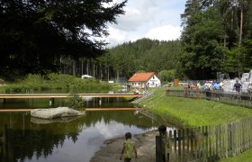 Waldbad Rappottenstein, © Josef Rauch