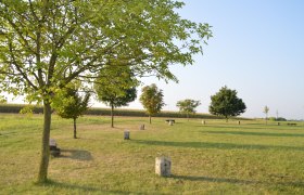 Baumkreis Veltlinerland, © StadtGemeinde Mistelbach / Mag. Mark Schönmann