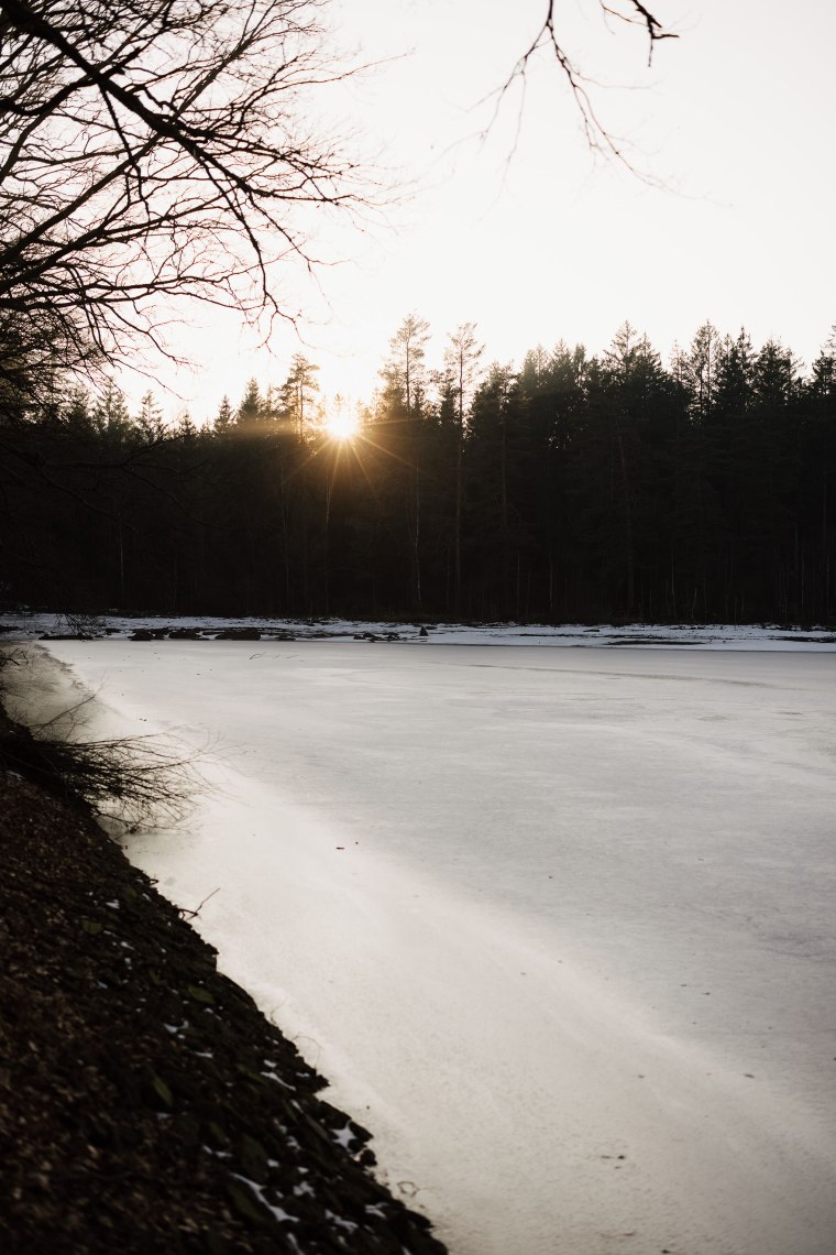 Vereister Teich bei tiefstehender Sonne