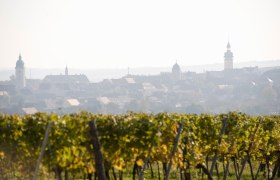 Weinwanderweg, © Retzer Land / Himml