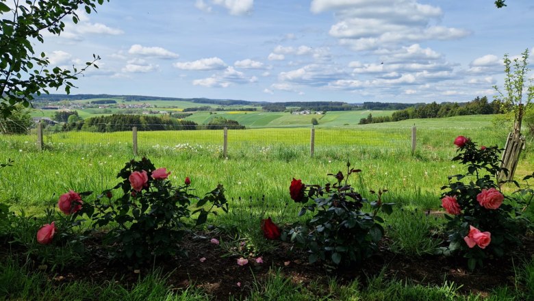 Unter den Kriecherlbäumen im Schatten entspannen und die Ruhe und Aussicht genießen., © U.E.