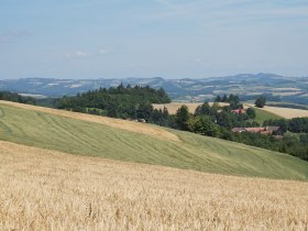 alpannonia - Regionale Route Gschaidt - Hutwisch, © Tourismusverband Südburgenland