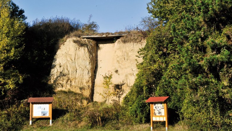 Schautafeln am Eiszeitwanderweg am Galgenberg in Stratzing, © POV_Gemeinde Stratzing