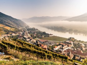 Weinbauort Spitz im Herbst, © Donau NÖ Tourismus/Robert Herbst