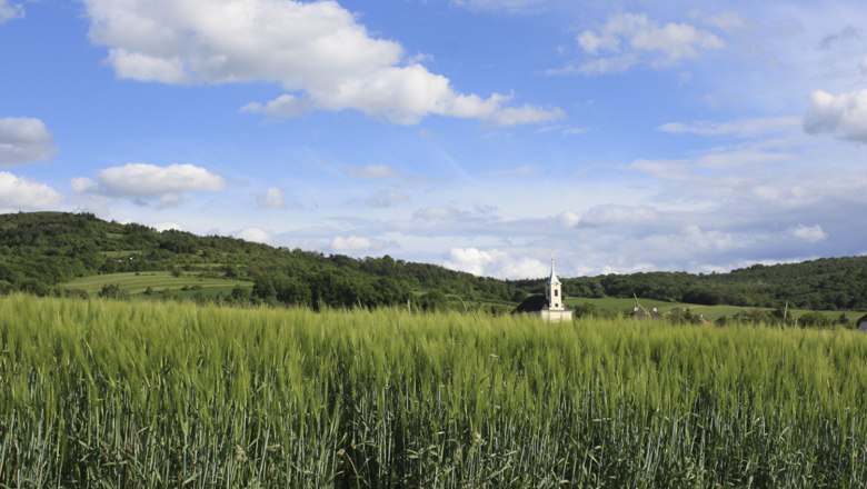 Haselbach, © Mag. (FH) Lea Seidl