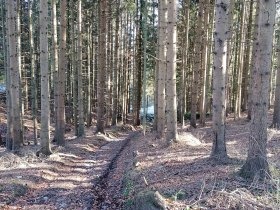 Hohlweg Richtung Paßkapelle, © Wiener Alpen in Niederösterreich - Wechsel