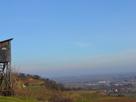 Blick ins Donautal und Tullnerfeld, © Walter Pernikl