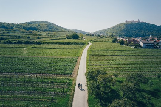 Eingebettet in die herrliche Weinlandschaft, © Ian Ehm