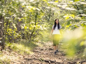 Wandern im Wienerwald, © Wienerwald /Studio Kerschbaum