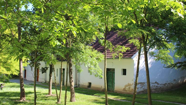 Kellergasse Fuchsenweg Bullendorf, © Weinviertel Tourismus