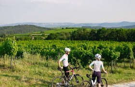 Blick übers Kremstal in Priel, © Donau NÖ/Mara Hohla