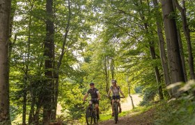 MTB Wienerwald, © Wienerwald Tourismus GmbH / Christoph Kerschbaum