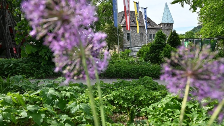 Blühender Schlosspark, © Waidhofen ad Ybbs