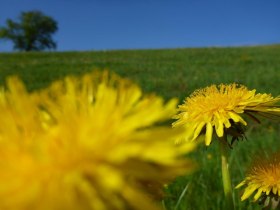 Auf Tour rund um Ober-Grafendorf, © Gemeinde Ober-Grafendorf