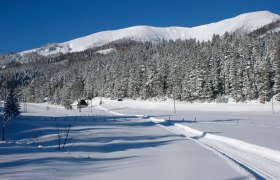 6/1 ZWEILÄNDERLOIPEN - Sonnenloipe, © Nordisches Zentrum St. Aegyd