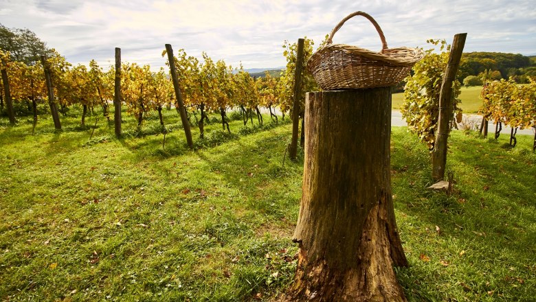 Landschaft Tulbing, © Blauuel GesmbH