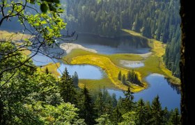 Blick zum Obersee, © Felix Helmel