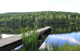 Schlesingerteich, © Tourismusverein Bärnkopf