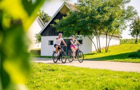 Durch die Weinviertler Kellergassen radeln, © POV / Robert Herbst