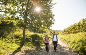 am Weg bei Krustetten, © Wachau-Nibelungengau-Kremstal