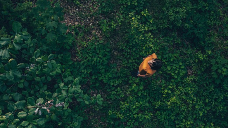 Frau steht im Wald - Vogelperspektive